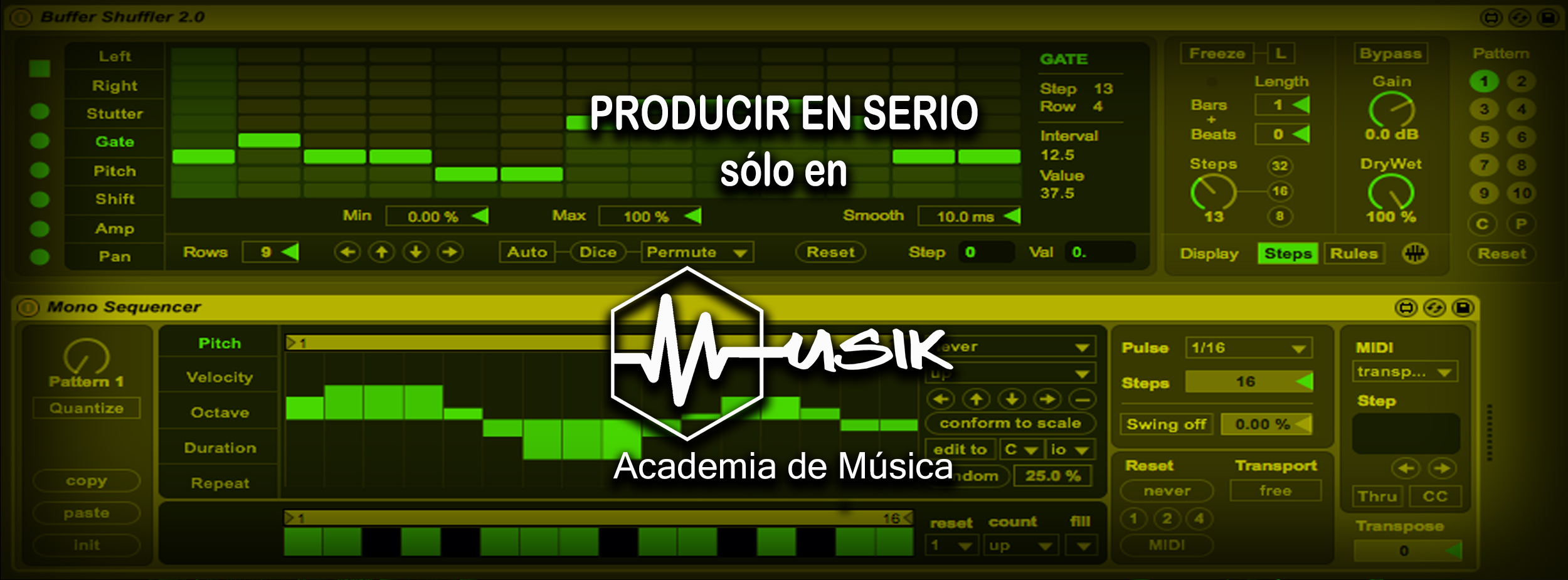 Musik 009 - Producir En Serio